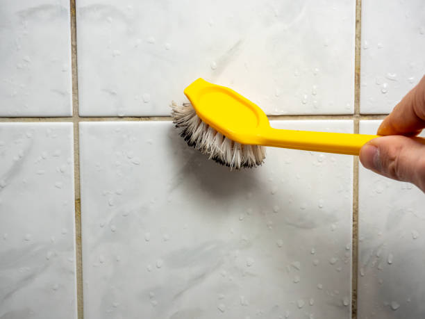 Best Mold Damage Repair  in Washburn, IL