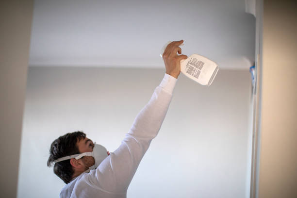 Best Mold Remediation  in Washburn, IL