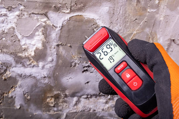 Best Mold Damage Repair  in Washburn, IL