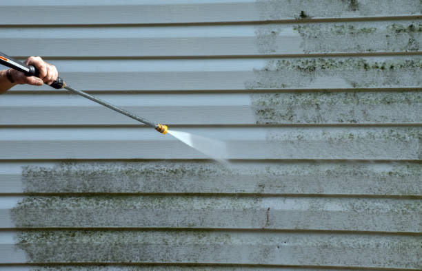 Best Office Mold Removal Services  in Washburn, IL