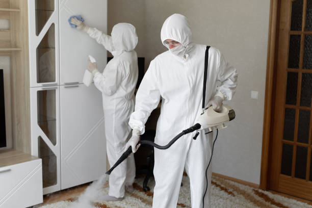 Best Certified Mold Removal  in Washburn, IL