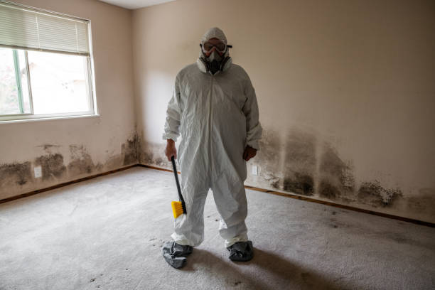 Best Crawl Space Mold Removal  in Washburn, IL